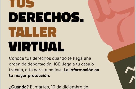 Taller virtual denominado ¨Inmigrante: Conoce tus derechos¨