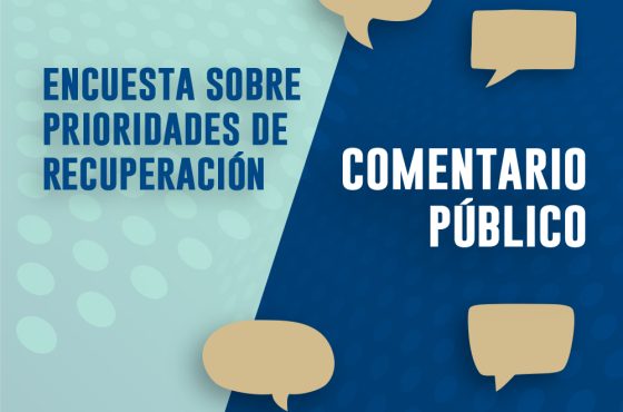 Asheville impulsa encuesta para la recuperación tras tormenta tropical Helene