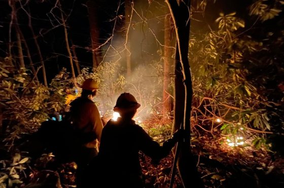 El incendio de North Fork alcanza el 65% de contención con actividad mínima reportada