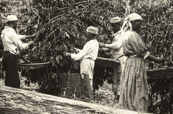 La comunidad de Shiloh celebra el Mes de la Historia Negra destacando raíces y unidad