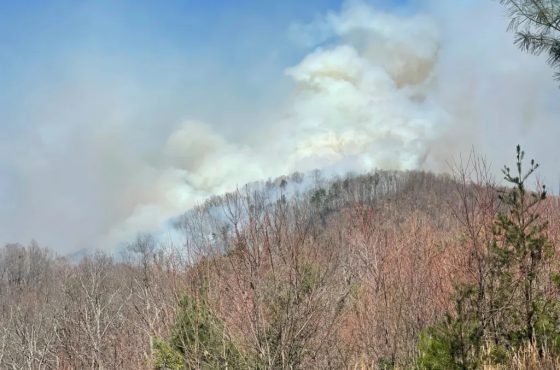 Prohibido quemar: Carolina del Norte impone restricción total por riesgo de incendios
