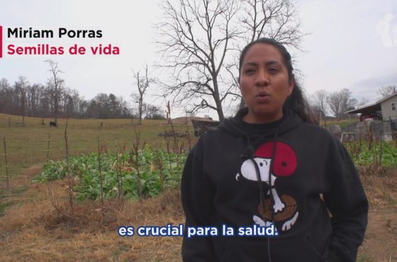 Recuperando nuestras raíces a través de la jardinería urbana